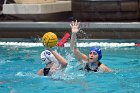 WWPolo vs CC  Wheaton College Women’s Water Polo vs Connecticut College. - Photo By: KEITH NORDSTROM : Wheaton, water polo